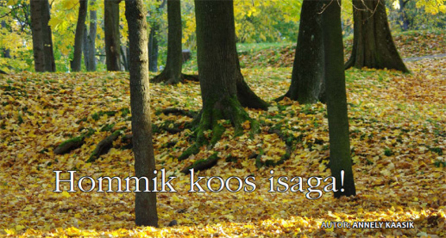 Hommik koos Isaga (25.01.2010)