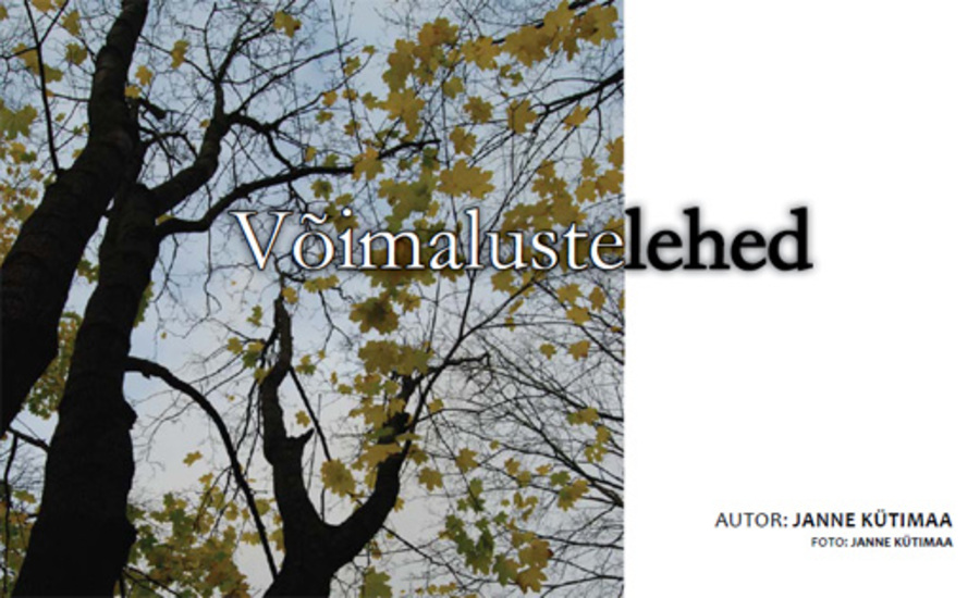 V�imalustelehed (13.01.2010)