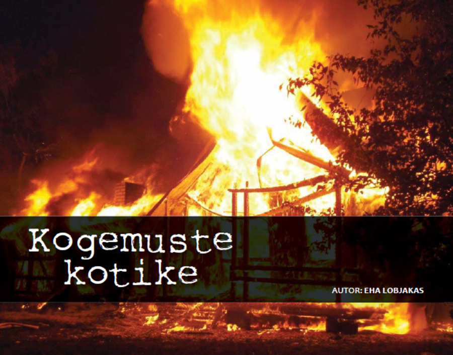 Kogemuste kotike: jaanuar 2012 (15.03.2012)