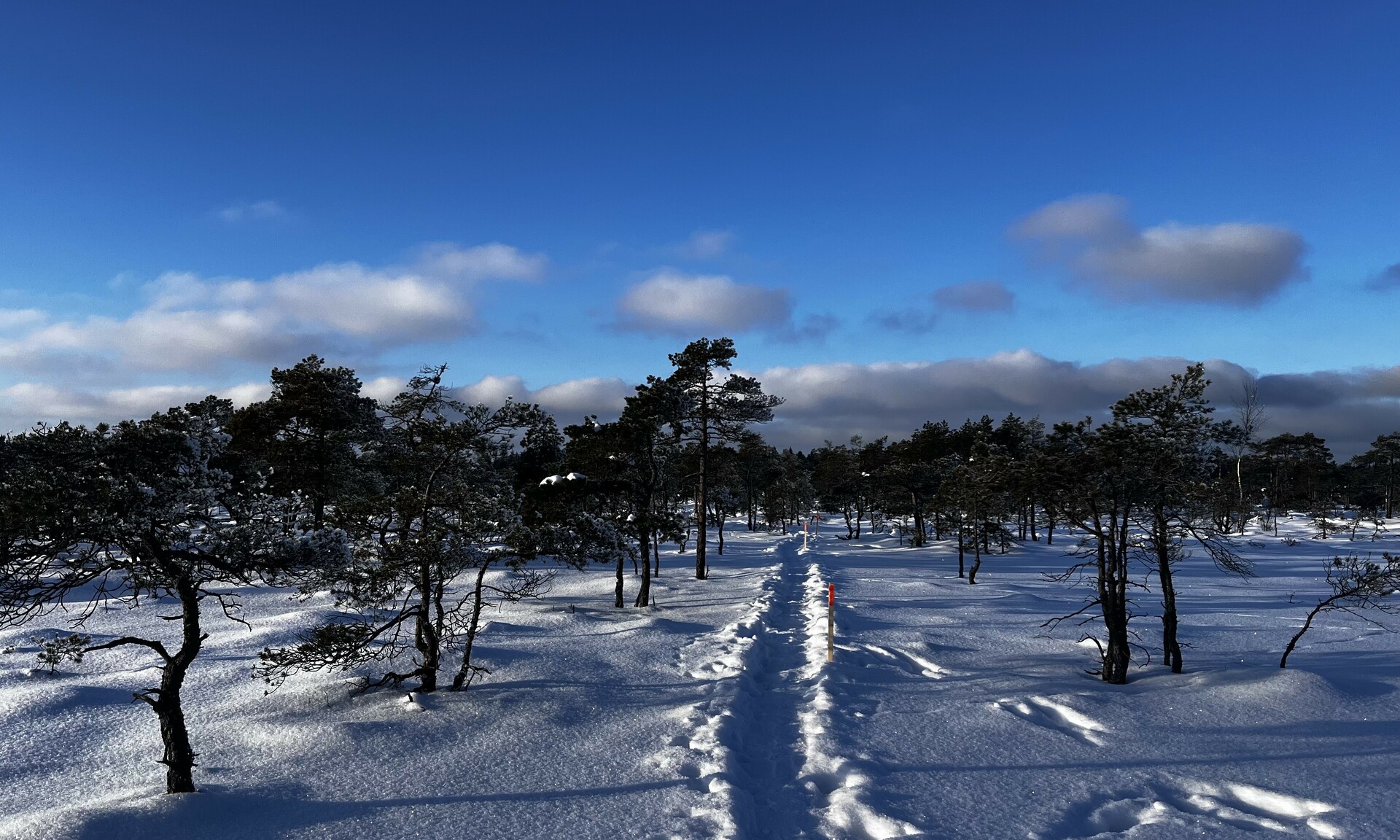 Türil kogunes noortenõukogu, et arutada alanud aasta noortele suunatud sündmusi